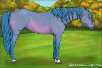 Horse Color:Watercolor Bay Roan