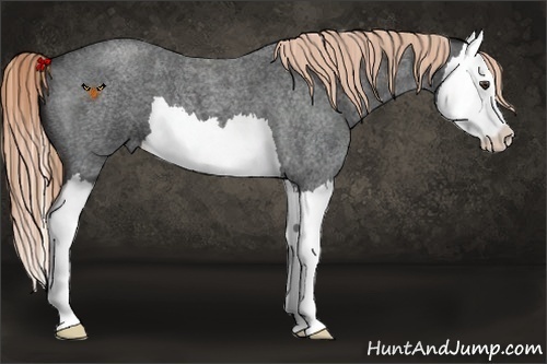 Horse Color:Liver Red Roan Splash