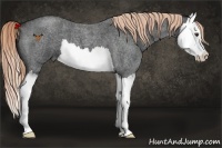 Horse Color:Liver Red Roan Splash 