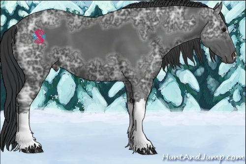 Horse Color:Black Ice 