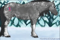 Horse Color:Black Ice 