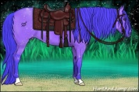 Horse Color:Watercolor Smoky Grullo 