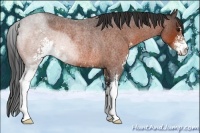 Horse Color:Bay Roan Sabino Rabicano