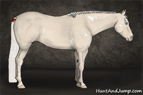 Horse Color:White Spotted Cremello 