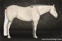 Horse Color:White Spotted Cremello 