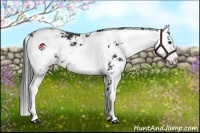 Horse Color:Smoky Black Sabino 