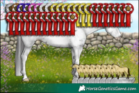 Horse Color:Smoky Black Sabino 