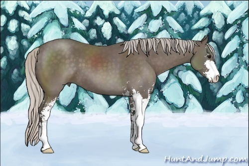 Horse Color:Silver Black Sabino 