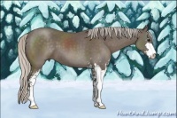 Horse Color:Silver Black Sabino
