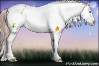 Horse Color:White Spotted Chestnut Splash Tobiano Near Leopard Rabicano