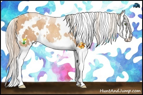 Horse Color:White Spotted Gold Champagne Sabino Splash Rabicano 