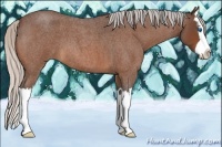 Horse Color:Silver Bay Roan Splash 