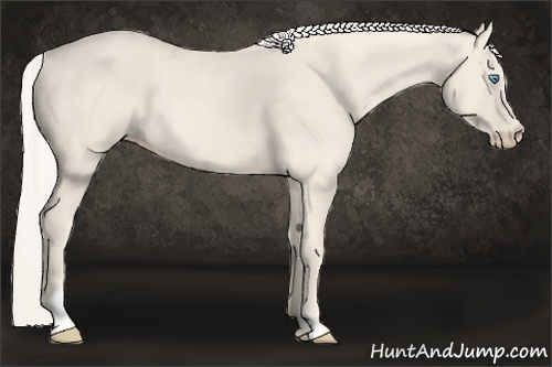 Horse Color:Cremello Frame