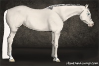 Horse Color:Cremello Frame 
