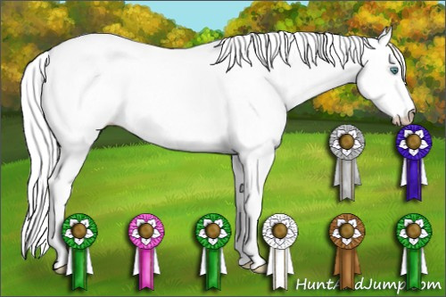 Horse Color:Gray White Spotted Smoky Black Pearl