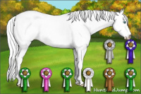 Horse Color:Gray White Spotted Smoky Black Pearl 