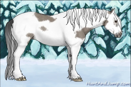 Horse Color:Smoky Grullo Splash Tobiano Frame Rabicano 