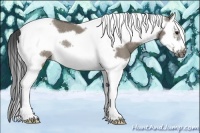 Horse Color:Smoky Grullo Splash Tobiano Frame Rabicano