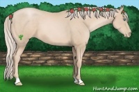 Horse Color:Palomino Pearl 