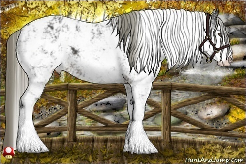 Horse Color:Liver Chestnut Sabino Appaloosa 