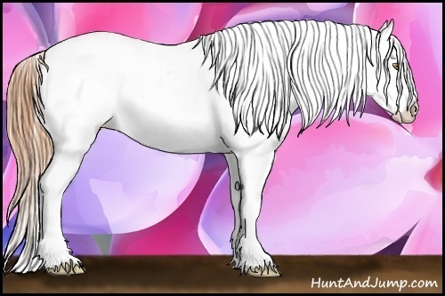 Horse Color:Gold Champagne Near Leopard 