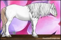 Horse Color:Gold Champagne Near Leopard 