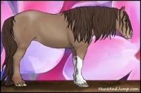 Horse Color:Classic Champagne 