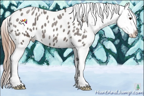 Horse Color:Liver Red Roan Appaloosa 