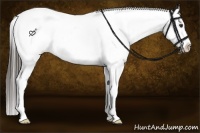 Horse Color:White Spotted Liver Chestnut Splash Leopard