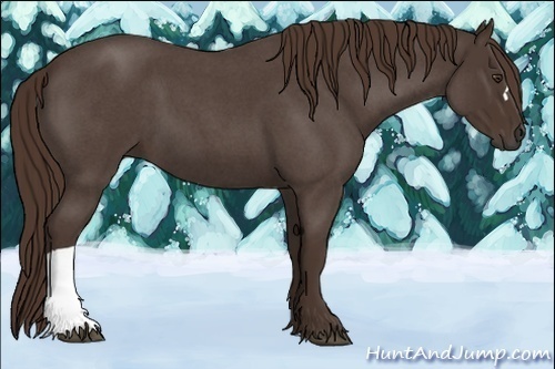 Horse Color:Liver Red Roan 