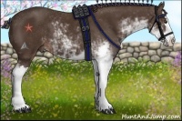 Horse Color:Liver Chestnut Sabino Splash