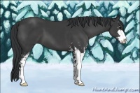 Horse Color:Black Sabino
