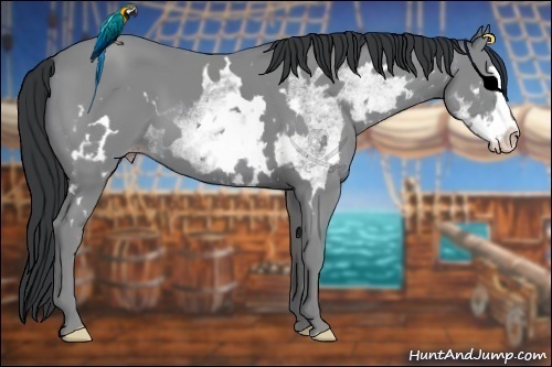 Horse Color:White Spotted Classic Champagne Chinchilla Splash Frame 