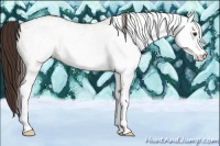 Horse Color:White Spotted Liver Red Dun