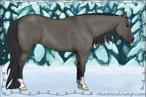 Horse Color:Grullo 