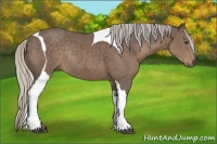Horse Color:Silver Black Tobiano Rabicano