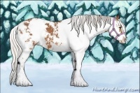 Horse Color:Silver Bay Sabino 
