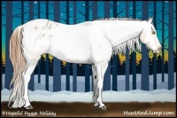 Horse Color:Bay Pearl Tobiano Appaloosa Rabicano 
