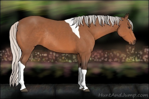 Horse Color:Silver Bay Tobiano Rabicano 
