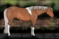 Horse Color:Silver Bay Tobiano Rabicano 