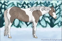 Horse Color:Silver Black Sabino Tobiano 