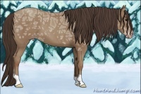 Horse Color:Classic Champagne Ice 