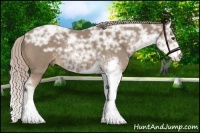 Horse Color:Chocolate Palomino Ice Sabino