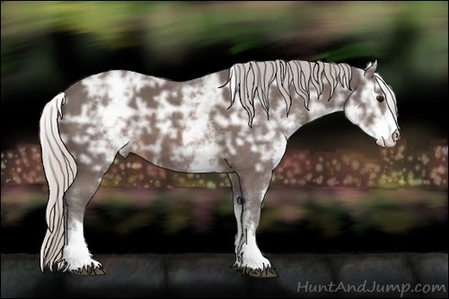 Horse Color:White Spotted Silver Brown Ice 
