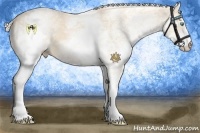 Horse Color:White Spotted Cremello 