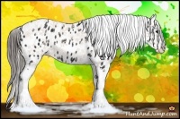 Horse Color:Black Splash Blanket 