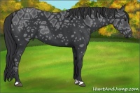 Horse Color:Black Ice 