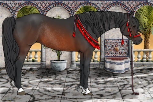 Horse Color:Brown Rabicano 
