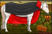 Horse Color:Chestnut Appaloosa