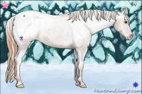 Horse Color:Chestnut Appaloosa